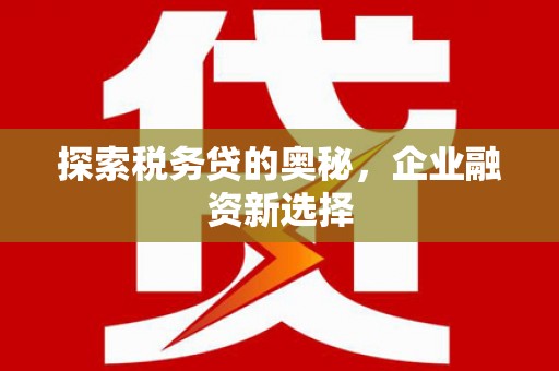 新巴尔虎左旗探索税务贷的奥秘，企业融资新选择