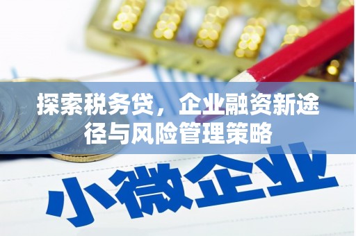 新巴尔虎左旗探索税务贷，企业融资新途径与风险管理策略