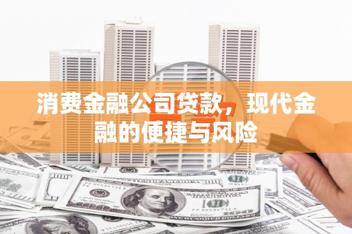 新巴尔虎左旗消费金融公司贷款，现代金融的便捷与风险