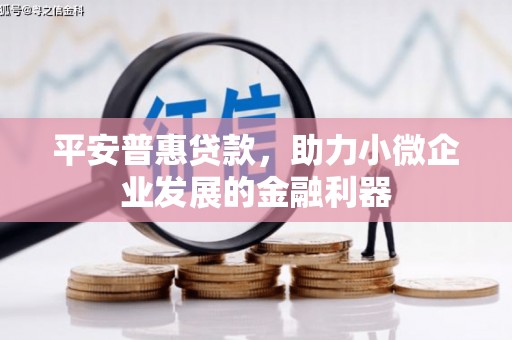 新巴尔虎左旗平安普惠贷款，助力小微企业发展的金融利器