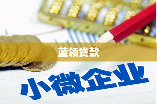 新巴尔虎左旗蓝领贷款