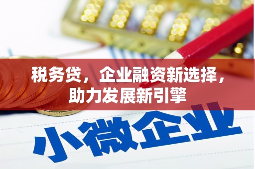 新巴尔虎左旗税务贷，企业融资新选择，助力发展新引擎