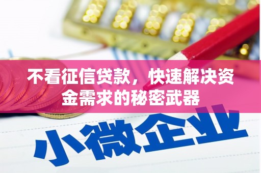 新巴尔虎左旗不看征信贷款，快速解决资金需求的秘密武器