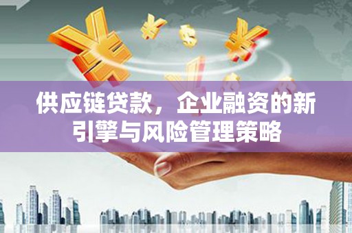 新巴尔虎左旗供应链贷款，企业融资的新引擎与风险管理策略