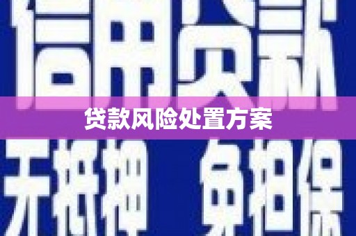 新巴尔虎左旗贷款风险处置方案