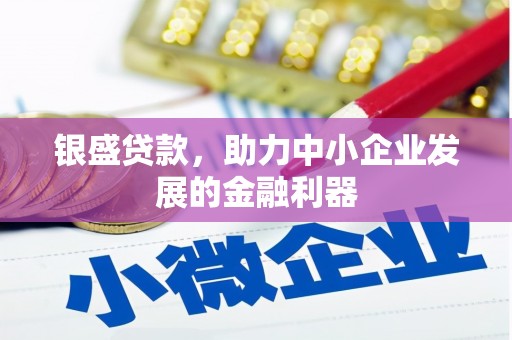 新巴尔虎左旗银盛贷款，助力中小企业发展的金融利器