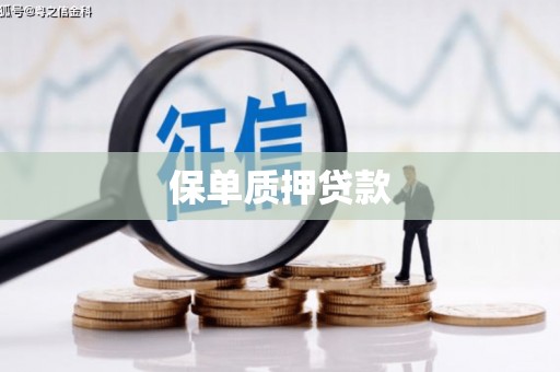 新巴尔虎左旗保单质押贷款