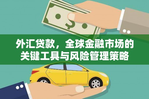 新巴尔虎左旗外汇贷款，全球金融市场的关键工具与风险管理策略