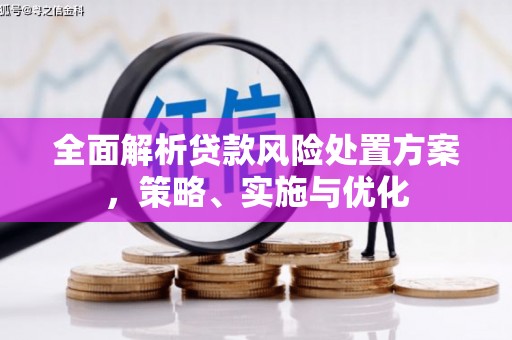 新巴尔虎左旗全面解析贷款风险处置方案，策略、实施与优化