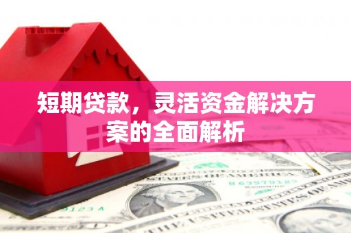 新巴尔虎左旗短期贷款，灵活资金解决方案的全面解析