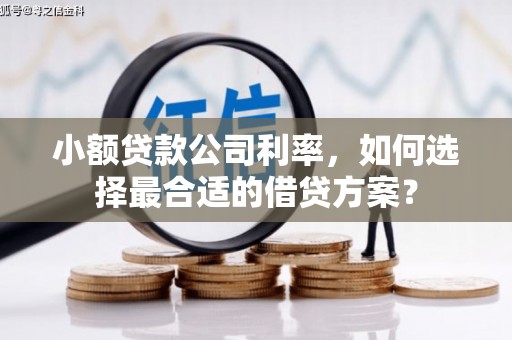 新巴尔虎左旗小额贷款公司利率，如何选择最合适的借贷方案？