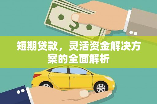 新巴尔虎左旗短期贷款，灵活资金解决方案的全面解析