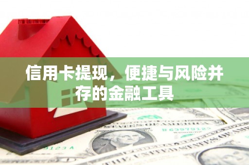 新巴尔虎左旗信用卡提现，便捷与风险并存的金融工具