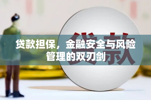 新巴尔虎左旗贷款担保，金融安全与风险管理的双刃剑