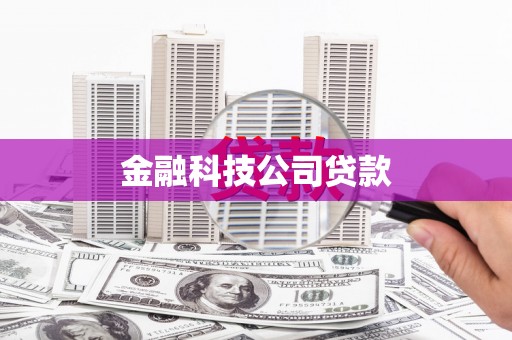 新巴尔虎左旗金融科技公司贷款