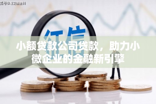 新巴尔虎左旗小额贷款公司贷款，助力小微企业的金融新引擎
