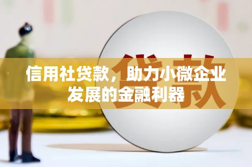新巴尔虎左旗信用社贷款，助力小微企业发展的金融利器