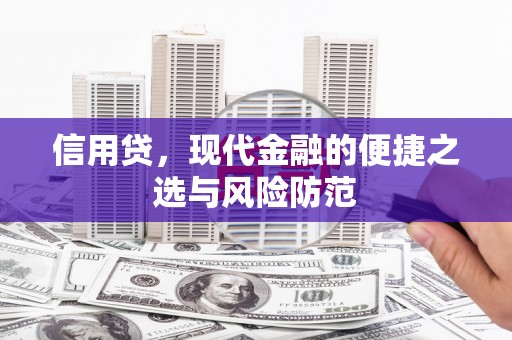 新巴尔虎左旗信用贷，现代金融的便捷之选与风险防范