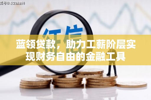 新巴尔虎左旗蓝领贷款，助力工薪阶层实现财务自由的金融工具