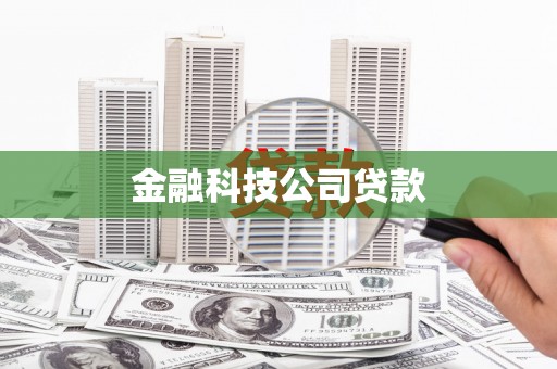 新巴尔虎左旗金融科技公司贷款