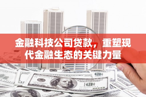 新巴尔虎左旗金融科技公司贷款，重塑现代金融生态的关键力量