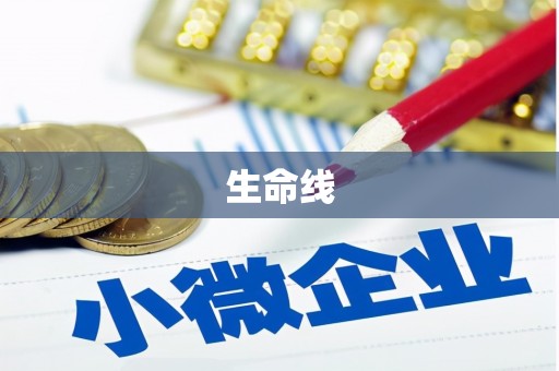 新巴尔虎左旗生命线