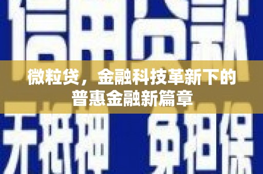 新巴尔虎左旗微粒贷，金融科技革新下的普惠金融新篇章