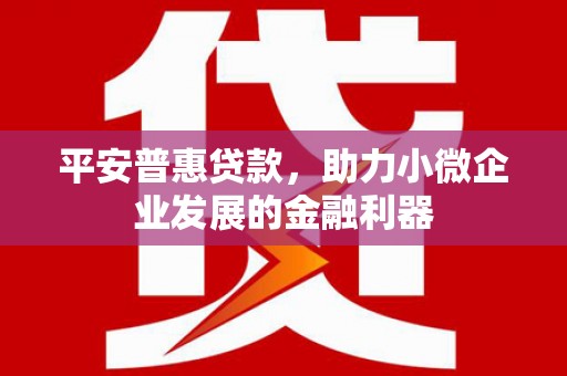 新巴尔虎左旗平安普惠贷款，助力小微企业发展的金融利器