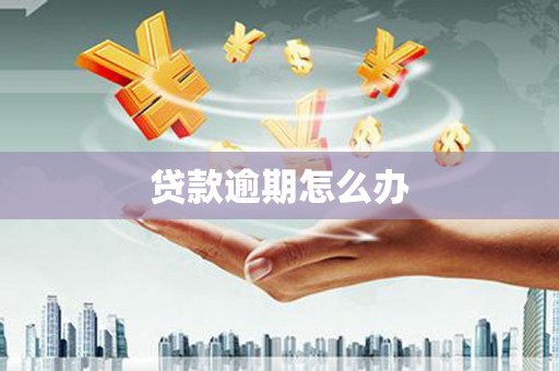 新巴尔虎左旗贷款逾期怎么办
