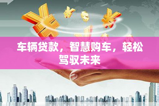 新巴尔虎左旗车辆贷款，智慧购车，轻松驾驭未来