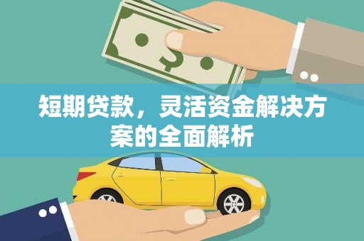 新巴尔虎左旗短期贷款，灵活资金解决方案的全面解析