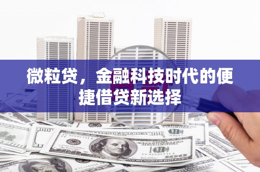 新巴尔虎左旗微粒贷，金融科技时代的便捷借贷新选择