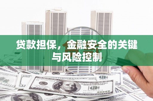新巴尔虎左旗贷款担保，金融安全的关键与风险控制