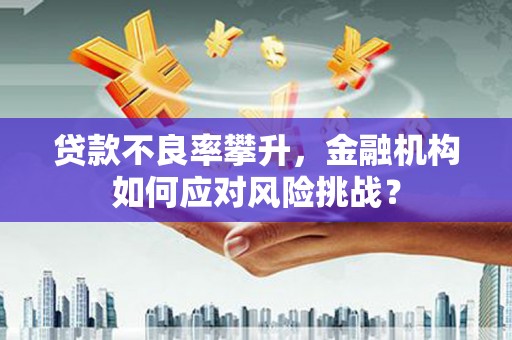 新巴尔虎左旗贷款不良率攀升，金融机构如何应对风险挑战？