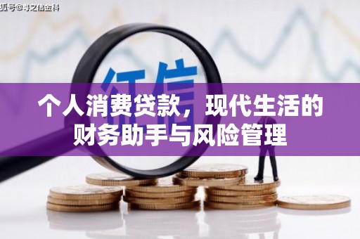 新巴尔虎左旗个人消费贷款，现代生活的财务助手与风险管理