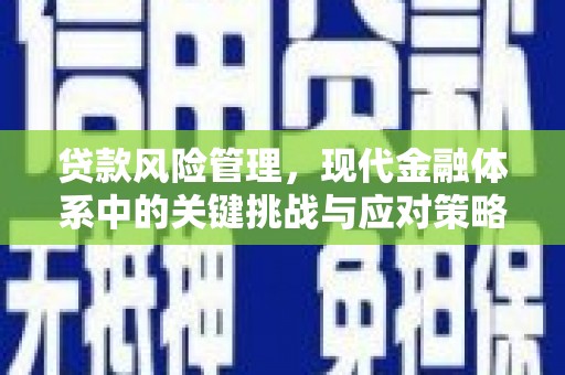 新巴尔虎左旗贷款风险管理，现代金融体系中的关键挑战与应对策略
