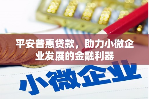 新巴尔虎左旗平安普惠贷款，助力小微企业发展的金融利器