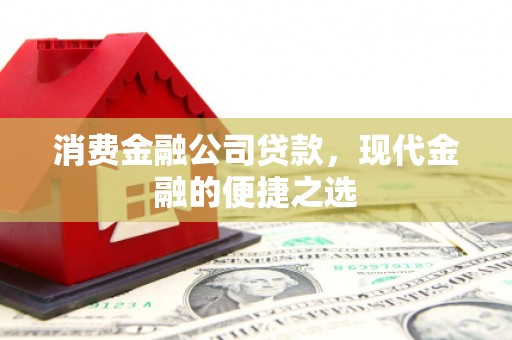 新巴尔虎左旗消费金融公司贷款，现代金融的便捷之选