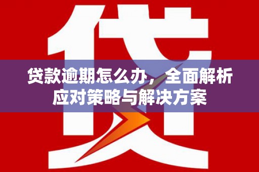 新巴尔虎左旗贷款逾期怎么办，全面解析应对策略与解决方案