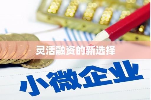 新巴尔虎左旗灵活融资的新选择