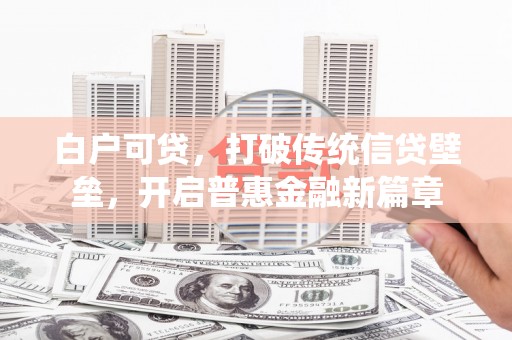 新巴尔虎左旗白户可贷，打破传统信贷壁垒，开启普惠金融新篇章