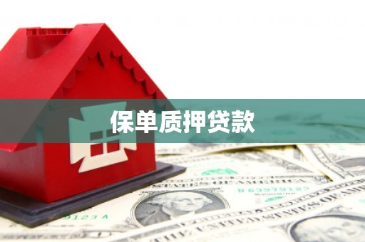 新巴尔虎左旗保单质押贷款