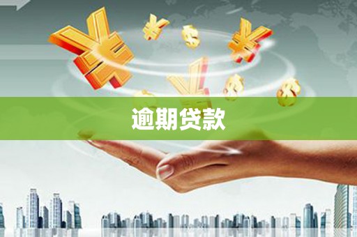 新巴尔虎左旗逾期贷款