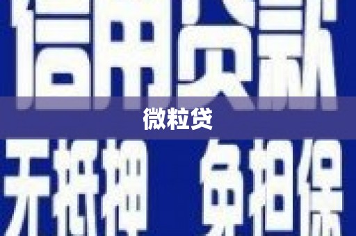 新巴尔虎左旗微粒贷
