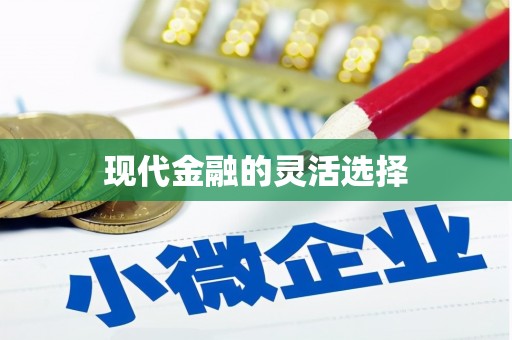 新巴尔虎左旗现代金融的灵活选择
