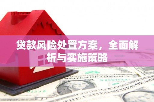 新巴尔虎左旗贷款风险处置方案，全面解析与实施策略