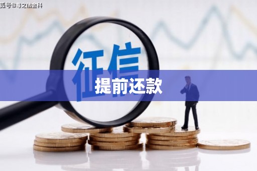新巴尔虎左旗提前还款