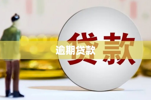 新巴尔虎左旗逾期贷款