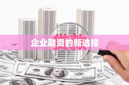 新巴尔虎左旗企业融资的新选择