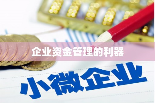 新巴尔虎左旗企业资金管理的利器